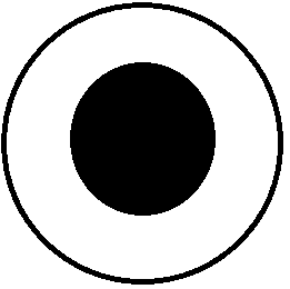 A black circle in a white circle

Description automatically generated